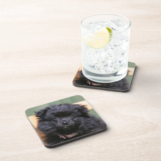 Schwarzer Spitz-Welpe Untersetzer (Rechte Seite)