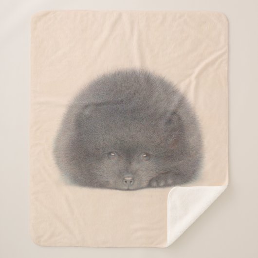 Schwarzer Spitz Welpenfarbe Sherpadecke (Vorderseite)