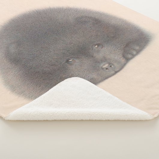 Schwarzer Spitz Welpenfarbe Sherpadecke (3/4)