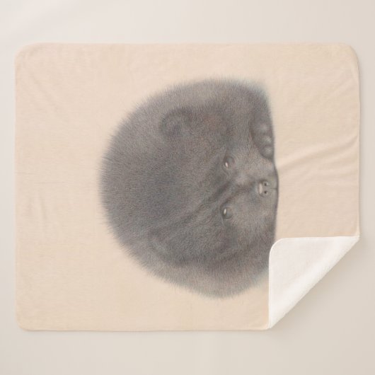 Schwarzer Spitz Welpenfarbe Sherpadecke (Vorderseite (Horizontal))