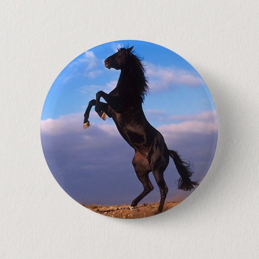 Schwarzer Stallion Button (Vorderseite)