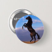Schwarzer Stallion Button (Vorne & Hinten)
