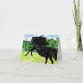 Schwarzer Stallion der Karte (Vorderseite)