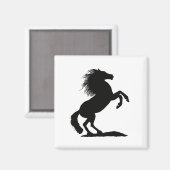 Schwarzer Stallion durch Cussdum-Designs züchten Magnet (Vorderseite/Rückseite)