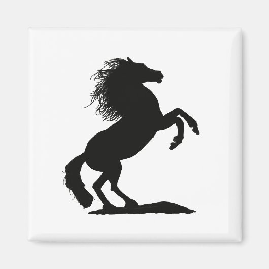 Schwarzer Stallion durch Cussdum-Designs züchten Magnet (Vorne)
