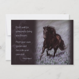 Schwarzer Stallion in einem Feld der Träume