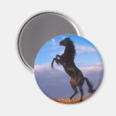 Schwarzer Stallion Magnet (Vorderseite/Rückseite)