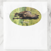 Schwarzer Stallion Ovaler Aufkleber (Tasche)