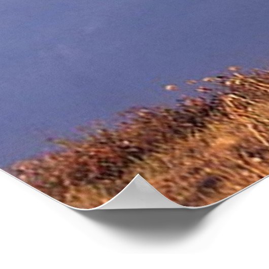 Schwarzer Stallion Poster (Ecke)