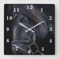 Schwarzer Stallion