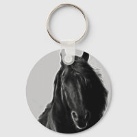 Schwarzer Stallion