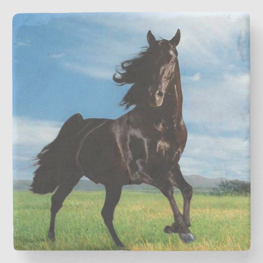 Schwarzer Stallion Steinuntersetzer (Vorderseite)