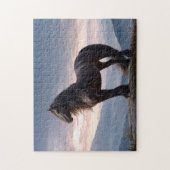 Schwarzer Stallion Wildhornberg Puzzle (Vertikal)