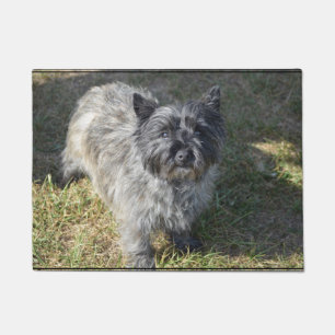 Schwarzer Steinhaufen Terrier Fußmatte