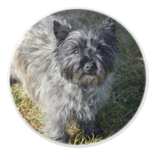 Schwarzer Steinhaufen Terrier Keramikknauf