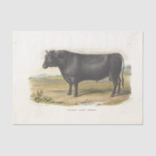 Schwarzer Stier Kuh Ephemera Decoupage Vintage Far Seidenpapier