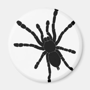 Schwarzer Tarantula-Kühlschrankmagnet Magnet