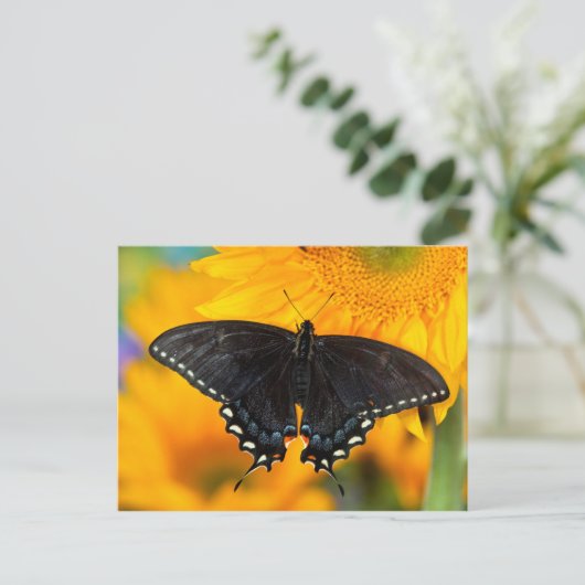 Schwarzer Tiger Postkarte (Stehend Vorderseite)