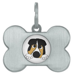 schwarzer Tri aussie Tiermarke
