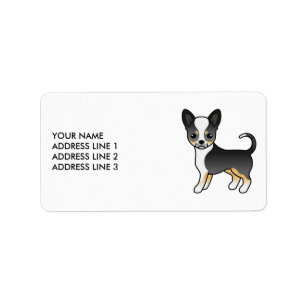 Schwarzer Tricolor-Weichling Chihuahua Niedlicher  Adressaufkleber
