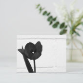 Schwarzer Tulip | Postkarte (Stehend Vorderseite)