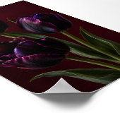 Schwarzer Tulpen-Samtstunde-Kunstdruck Poster (Ecke)