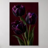 Schwarzer Tulpen-Samtstunde-Kunstdruck Poster (Vorne)