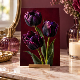 Schwarzer Tulpen-Samtstunde-Kunstdruck Poster