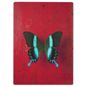 Schwarzer u. blauer Schmetterling Klemmbrett (Rückseite)