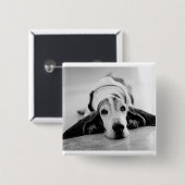 Schwarzer u. weißer Basset Hound-Knopf Button (Vorne & Hinten)