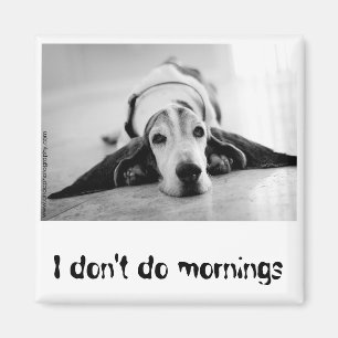 Schwarzer u. weißer Basset Hound-Magnet Magnet