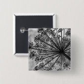 Schwarzer u. weißer Spitze der Königin-Anne Button (Vorne & Hinten)