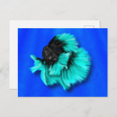 Schwarzer und Aquamariner Bettfisch Postkarte (Vorne/Hinten)