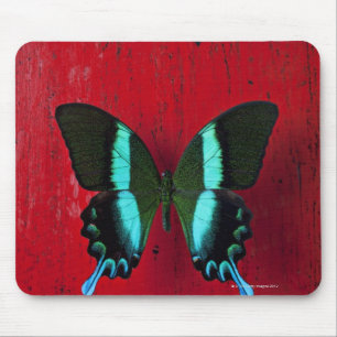 Schwarzer und blauer Schmetterling auf roter Wand Mousepad