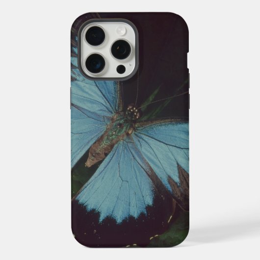 Schwarzer und blauer Schmetterling iPhone Hülle (Rückseite)
