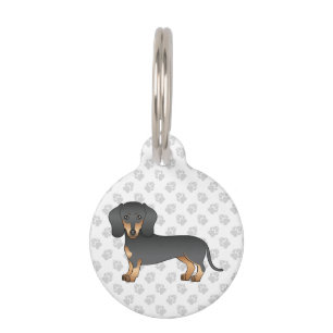 Schwarzer und Brauner Glatthaar Dachshund Süßer Hu Haustiermarke