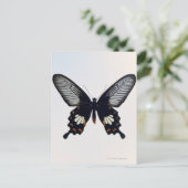 Schwarzer und brauner Schmetterling Postkarte (Stehend Vorderseite)