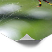 Schwarzer und gelber Garten Spider Poster (Ecke)