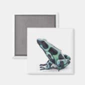 Schwarzer und grüner Gift-Dart-Frosch Magnet (Vorderseite/Rückseite)