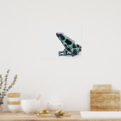 Schwarzer und grüner Gift-Dart-Frosch Poster (Küche)