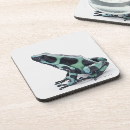 Schwarzer und grüner Gift-Pfeil-Frosch Getränkeuntersetzer (Linke Seite)