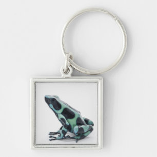Schwarzer und grüner Gift-Pfeil-Frosch Schlüsselanhänger