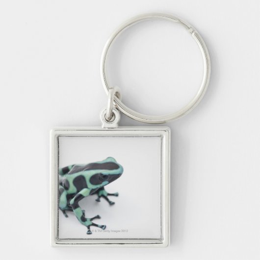 schwarzer und grüner Giftpfeilfrosch (dendrobates Schlüsselanhänger (Vorne)
