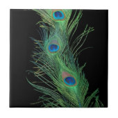 Schwarzer und grüner Pfau versieht Fliese mit (Vorderseite)