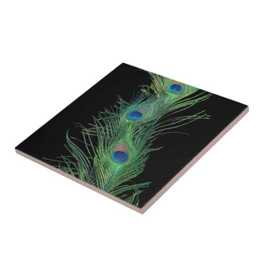 Schwarzer und grüner Pfau versieht Fliese mit (Seite)