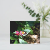 Schwarzer und orangefarbener Schmetterling Postkarte (Stehend Vorderseite)