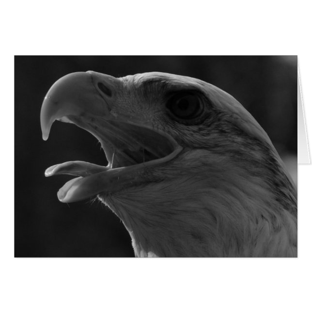 Schwarzer und weißer Adler (Vorderseite (Horizontal))