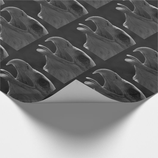 Schwarzer und weißer Adler Geschenkpapier (Ecke)