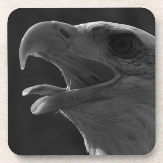 Schwarzer und weißer Adler Getränkeuntersetzer (Vorderseite)