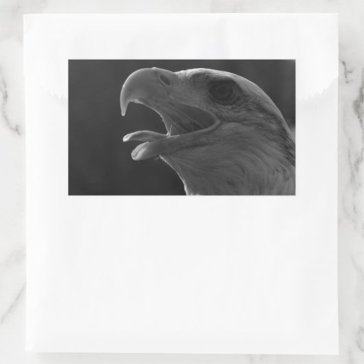 Schwarzer und weißer Adler Rechteckiger Aufkleber (Tasche)